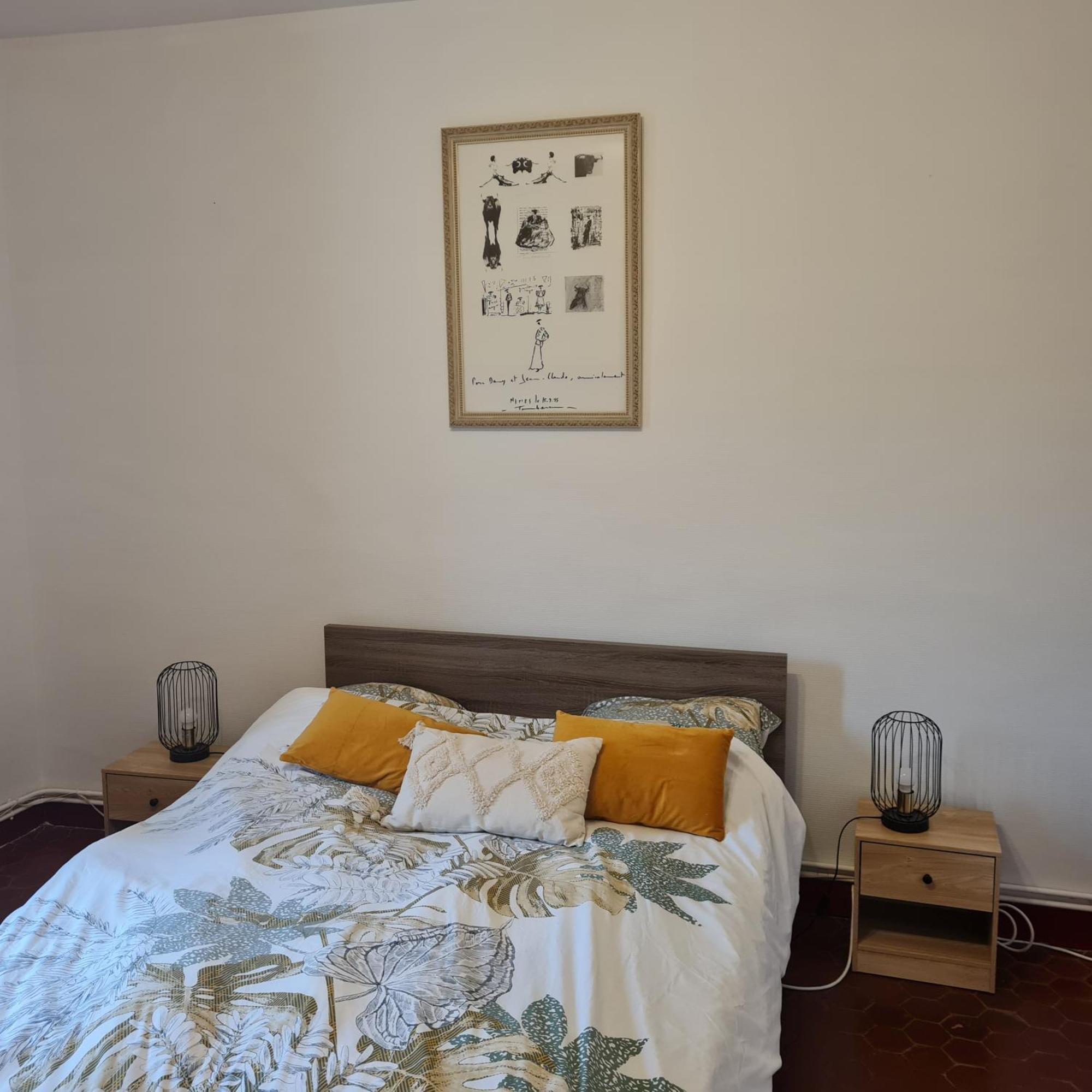 Appartement Nimes Centre מראה חיצוני תמונה